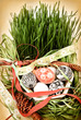 Easter composition