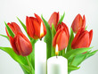 Tulpen mit Kerzen
