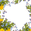 Spring Flower Border
