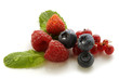 Frutos rojos