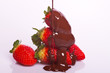 Strawberry and chocolate
