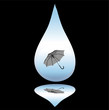 drop of rain with umbrella - vector