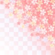 sakura_template sakura_template