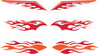 Racing Flames Set