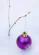 Lonely christmas toy on a branch