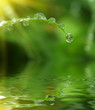 Photo en ligne au meilleur prix Macro of raindrop