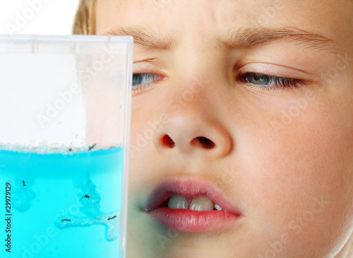 Photo: Little boy scrutiny looks into helium aquarium - ant farm Little boy scrutiny looks into helium aquarium - ant farm