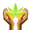 hands with a stylised lotus flower