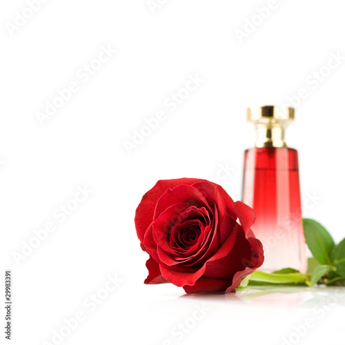 Photo: rose and perfume rose and perfume