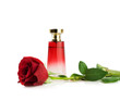 Red rose and perfume