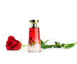 Perfume bottle and red rose