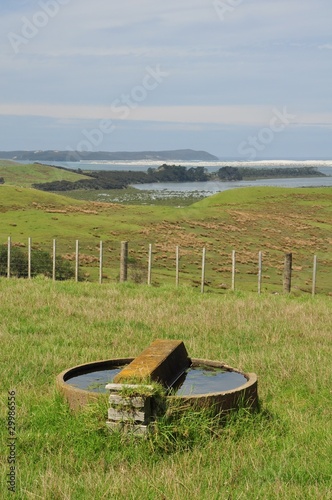 Foto: Bay of islands near to Auckland, New Zealand Bay of islands near to Auckland, New Zealand