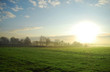 misty morning on field
