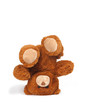Photo: petit ours bruns sur la tête petit ours bruns sur la tête