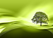 L'arbre vert