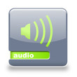 Button spare Audio grau grün