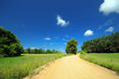 Beautiful summer landscape Beautiful summer landscape