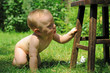 Cute toddler