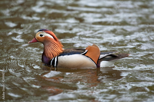 Foto: Blubberwasser Blubberwasser