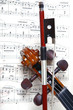 partition pour violon