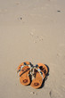 Foto: Sandalen Sandalen