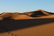 desert 3