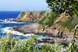 Cliffs panorama in the Azores islands on a windy day. Cliffs panorama in the Azores islands on a windy day.