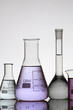 lab
