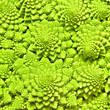 cabbage romanesco background