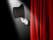 Top hat in spotlight