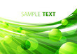 Green background. Vector
