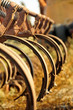 Vintage Farming Equipment
