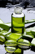 Spa still life- aloe with lotion