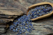 Lavendel