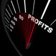 Speedometer - Rising Profits Successful Business