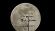 Bandada de pájaros con luna llena