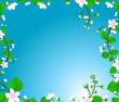 blossom tree