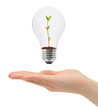 Hand and bulb with plant