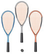 3 Squashschläger und Turnierball