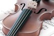 Violine