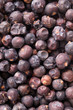 Wacholderbeeren-Hintergrund