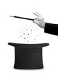 Magic wand top hat