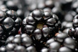 blackberry