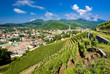 grand cru vineyard, Thann, Alsace, France grand cru vineyard, Thann, Alsace, France