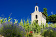 vineyard and Chapel of St. Christopher, Hermitage,France vineyard and Chapel of St. Christopher, Hermitage,France