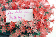 Alles Liebe zum Muttertag, mit Blumen