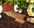 Jardineria Jardineria