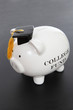 Photo: Piggy Bank for College Piggy Bank for College