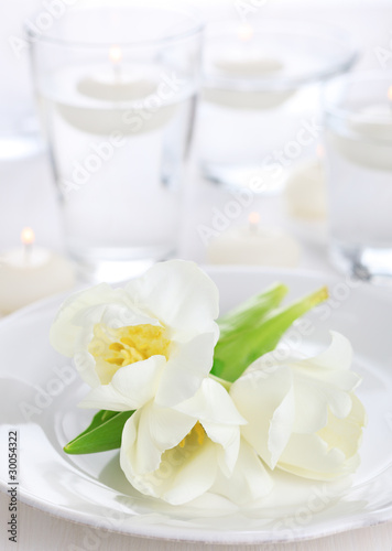 Photo: white tulip on white napkin, soft focus white tulip on white napkin, soft focus