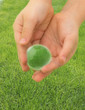 Photo: save the planet concept save the planet concept